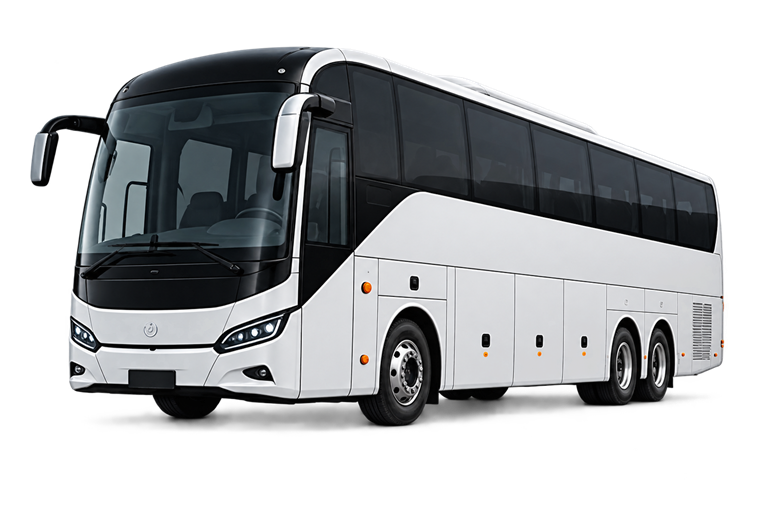 Buses
